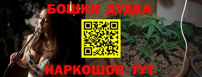 стафф Моздок