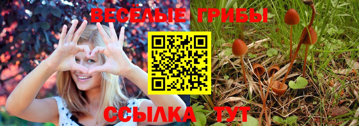 Галлюциногенные грибы прущие грибы Соликамск