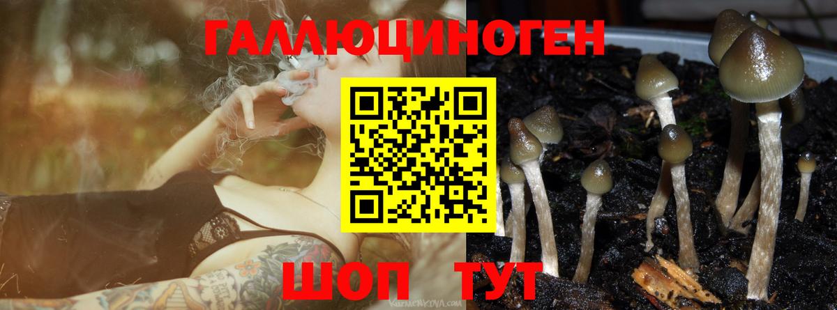 Галлюциногенные грибы прущие грибы  Вход с VPN  как найти закладки  Соликамск 